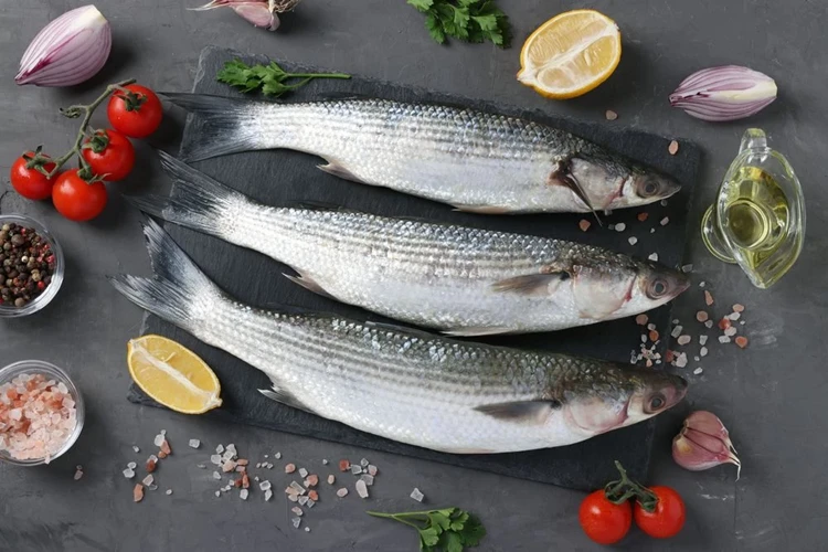 Selimiye Taze Günlük Balık